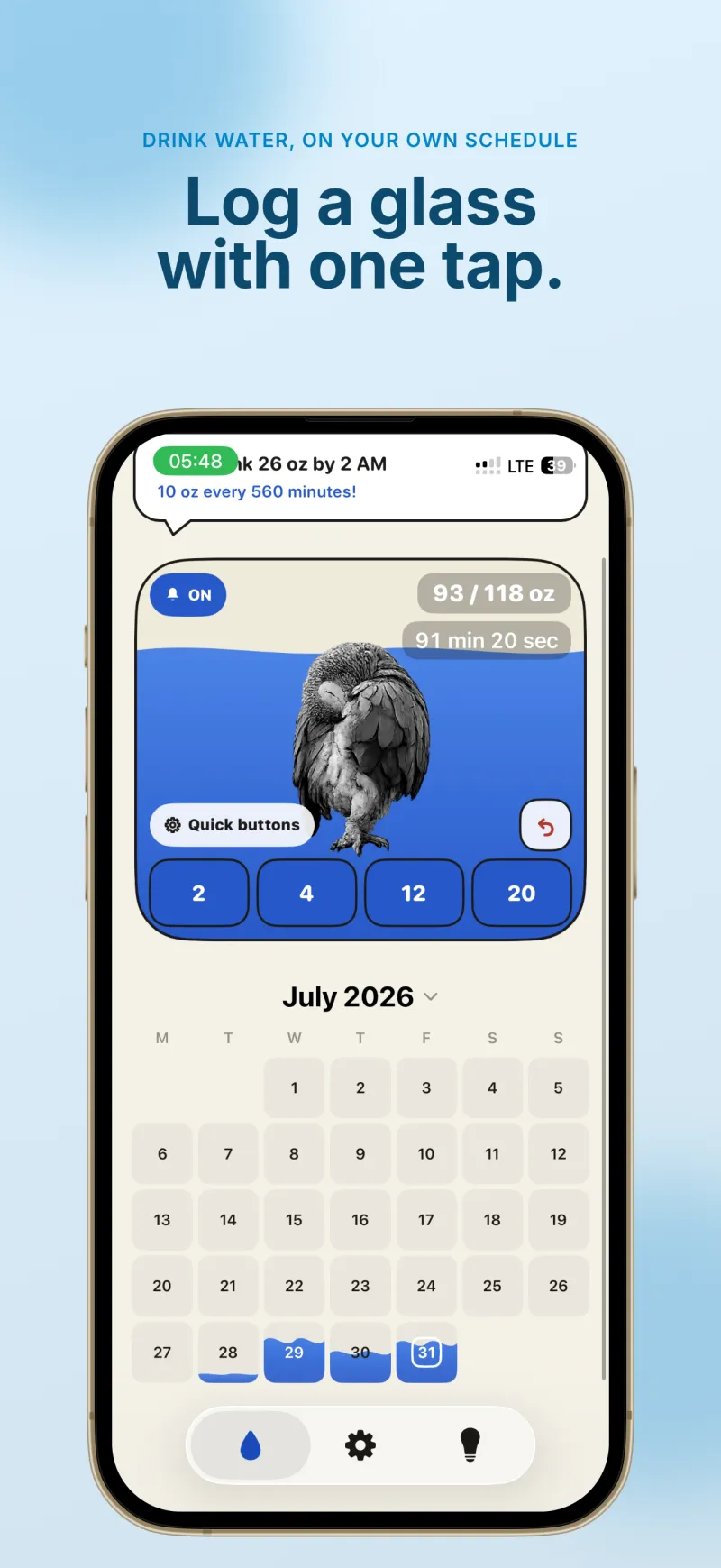 The Bird That Drinks Water daily log screen